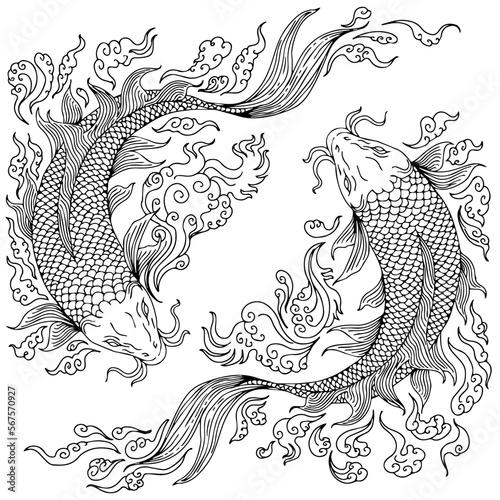 design illustration outline asian gold fish