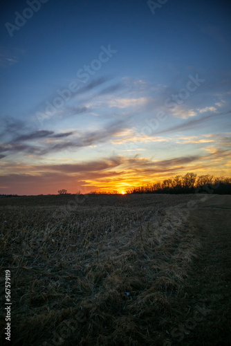 sunset with trees