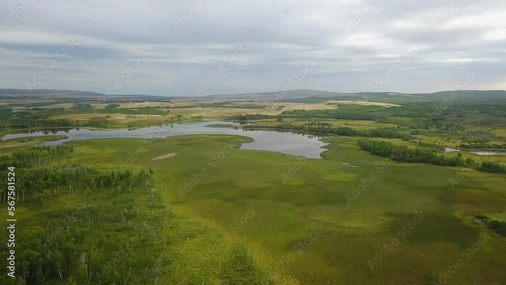 Aerial descends to vibrant green wetland marsh in Canadian foothills Aerial descends to vibrant green wetland marsh in Canadian foothills