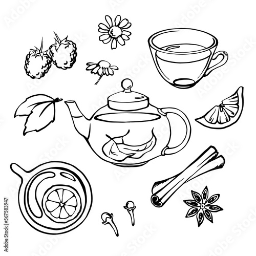 Hand drawn glass tea pot with tea cups, herbs, fruits and spices. Tea set of design elements