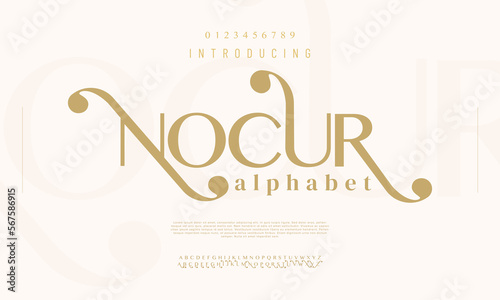 Fotografia Nocur swash luxury font
