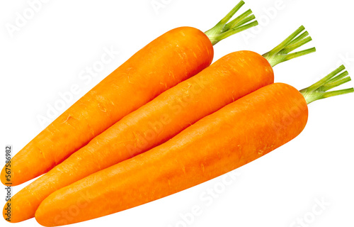 Wallpaper Mural Carrot on white background, Fresh Carrot Isolaet on white with clipping path. Torontodigital.ca