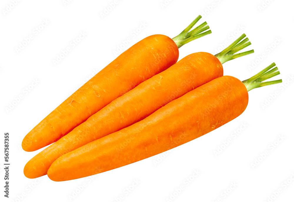 Carrot on white background, Fresh Carrot Isolaet on white with clipping path. Carrot on white background, Fresh Carrot Isolaet on white with clipping path.