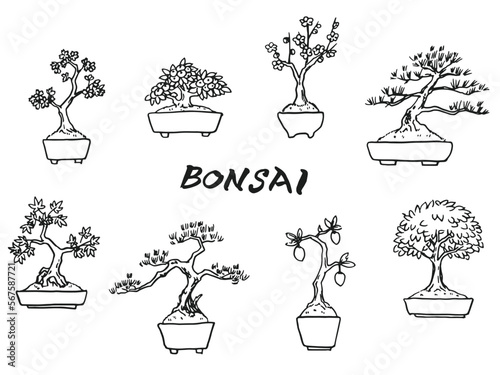 盆栽イラスト（線画）