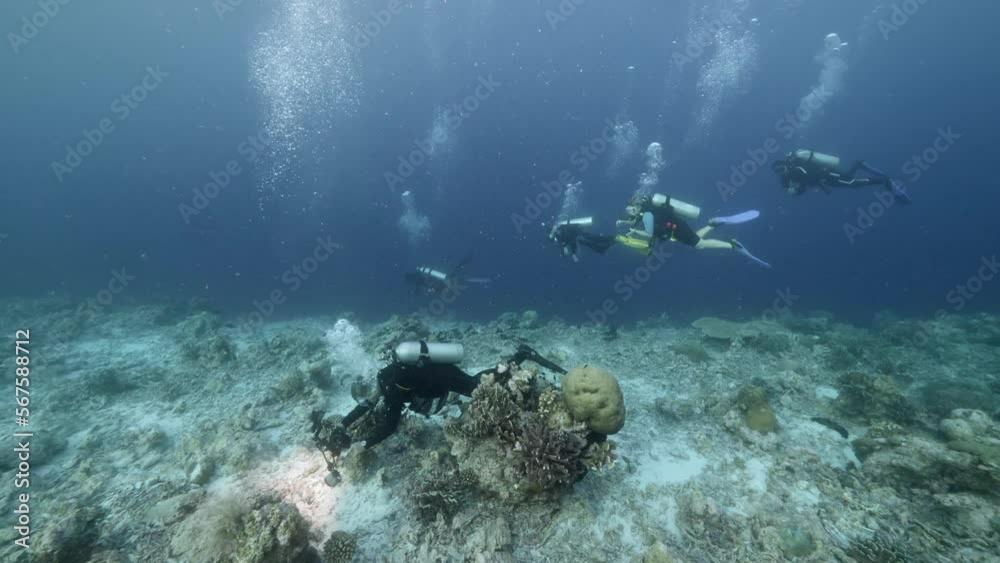 Slow motion shot Diver on background School of fish underwater landscape in Kepulauan Banda Indonesia. Swimming in world colorful beautiful wildlife of reefs and algae. Inhabitants in search of food. Slow motion shot Diver on background School of fish underwater landscape in Kepulauan Banda Indonesia. Swimming in world colorful beautiful wildlife of reefs and algae. Inhabitants in search of food.