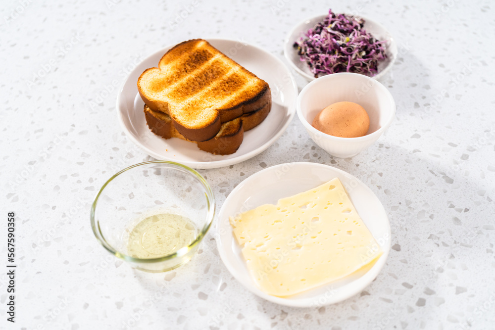 Breakfast Egg and Sprouts Sandwich Breakfast Egg and Sprouts Sandwich