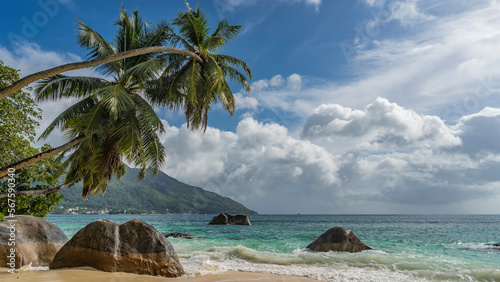 Fototapeta Naklejka Na Ścianę i Meble -  A picturesque beach on a tropical island. Granite boulders are scattered in the turquoise ocean, on the sand. Palm trees bent over the water. Lush leaves and trunks against a blue sky and clouds