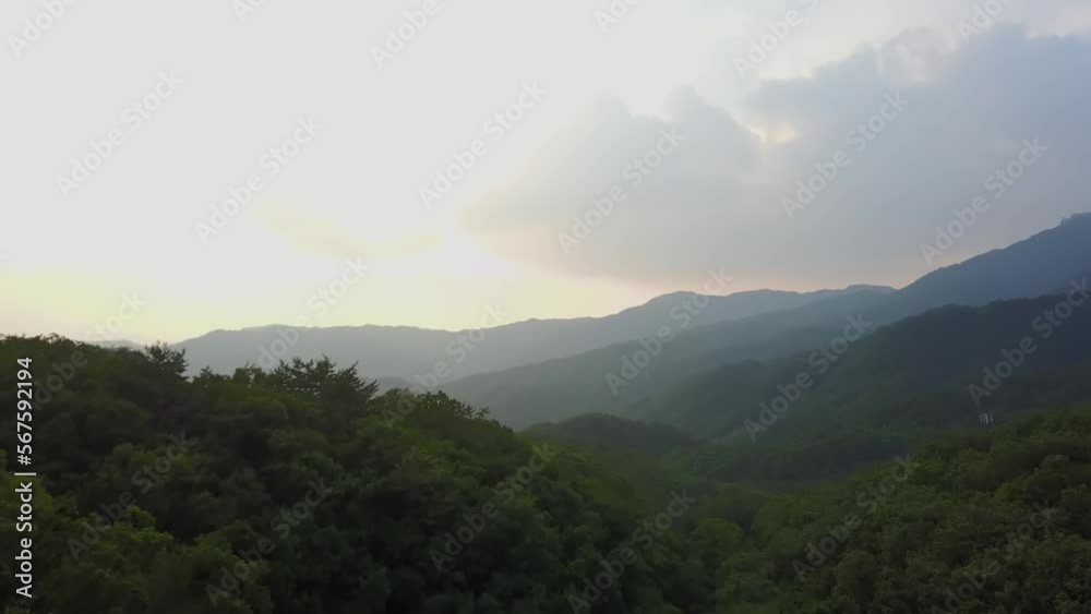A mountain range that glows as you fly through the forest A mountain range that glows as you fly through the forest