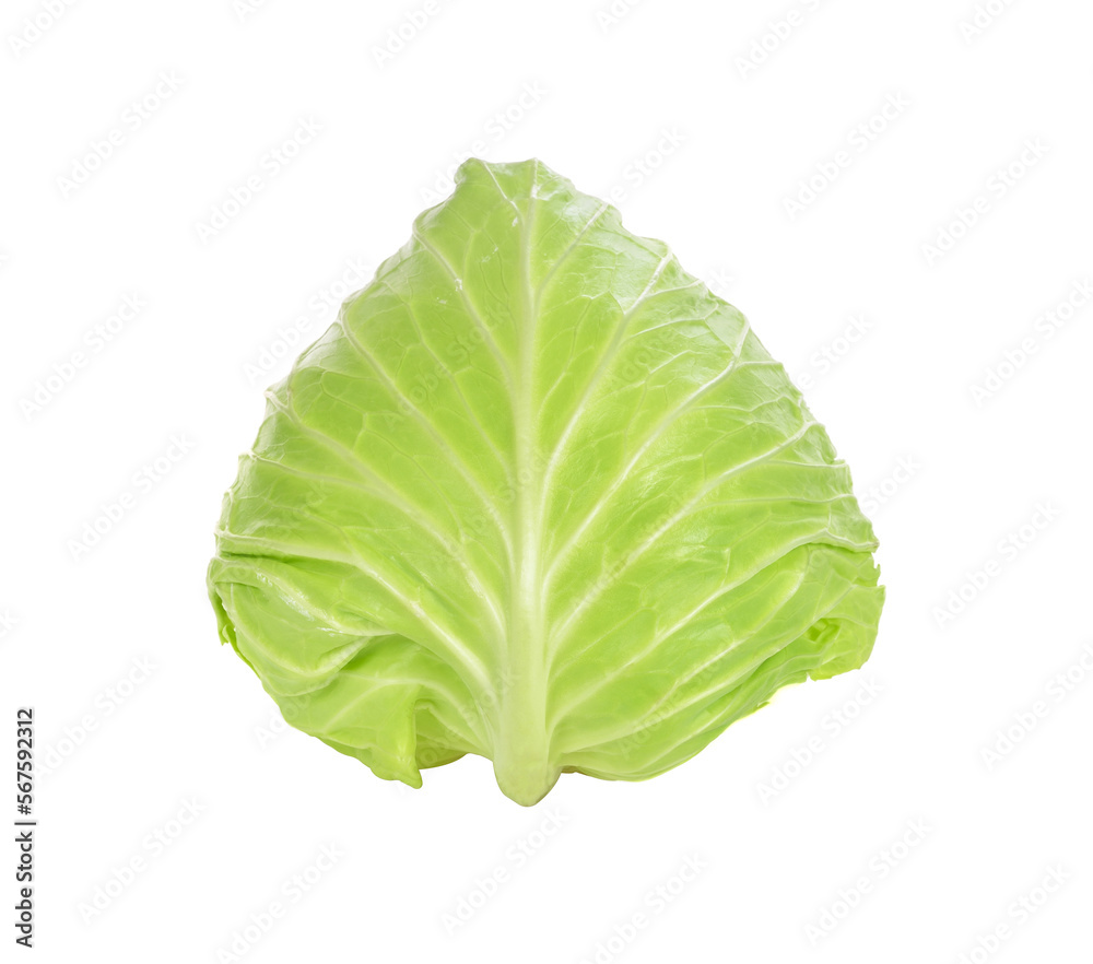 Fototapeta premium cabbage isolated on white background