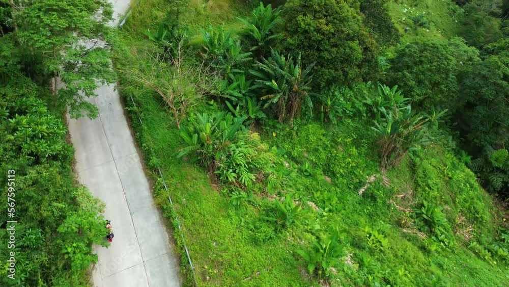 Motorcyclist racing his motorcycle on country road at green wood. Aerial shot to biker riding on motorbike through forest road. Man drive bike during trip. Concept of freedom and adventure.