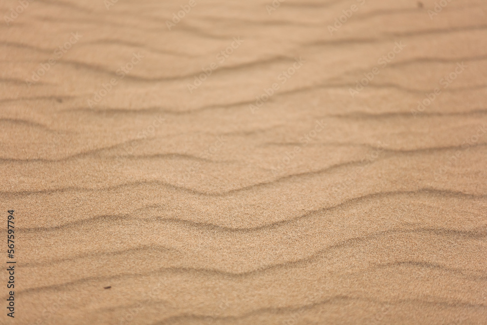 Top view of beautiful golden sand dunes with ripples in desert