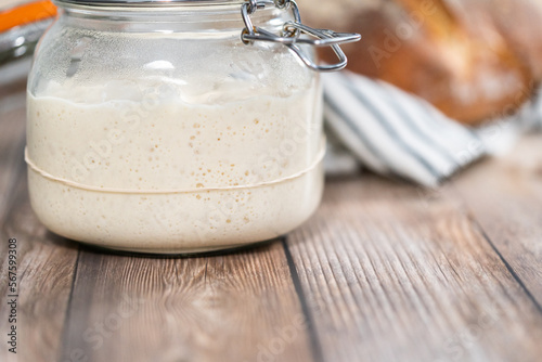 Sourdough starter