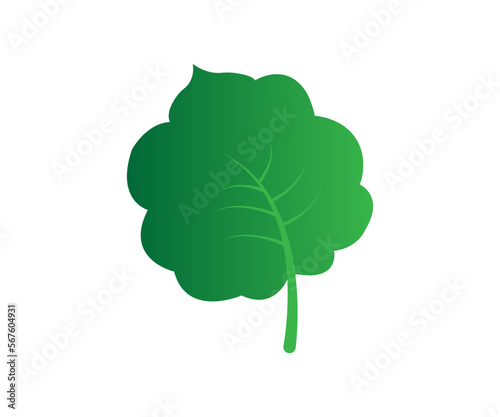 Green leaf vector design and illustration.