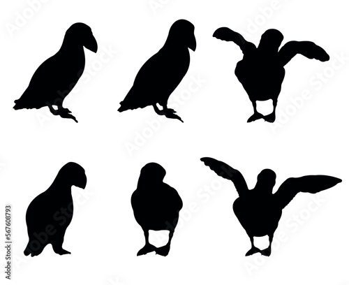 Collection of black silhouettes puffins