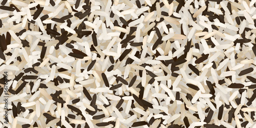 Uncooked white basmati and black wild rice seamless pattern. Vector background of raw ingredient of traditional indian, japanese, thai, or chinese food. Organic nutrition