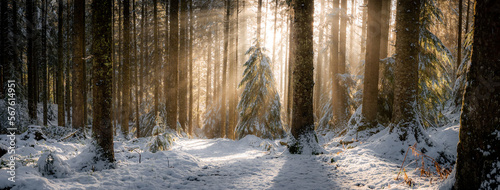 Narnia Northern Ireland