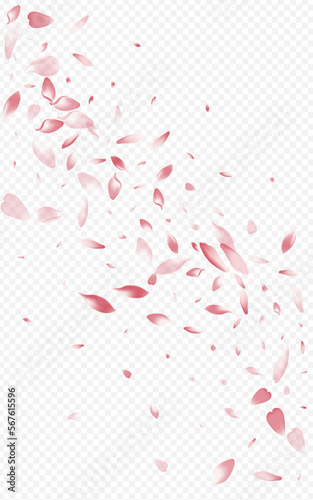 Light Flower Vector Transparent Background.