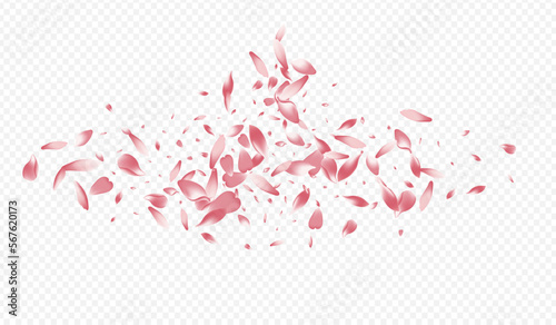 Red Flower Vector Transparent Background. Lotus