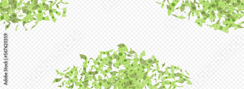 Flow Currency Vector Transparent Panoramic