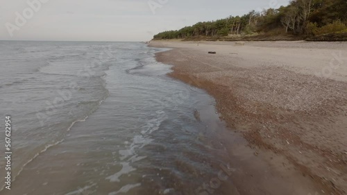 On a calm autumn afternoon, the waves of the Baltic Sea wash over the beach, and a pine forrest can be seen in the distance. photo