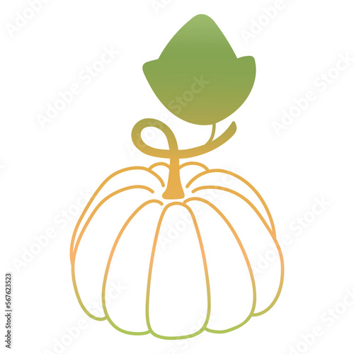 Pumpkin isolated vector illustration. Fresh ripe vegetable, hand drawn. Doodle.