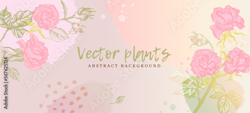 Wallpaper in botanical style, freehand drawing. Vector. rose flowers leaves, organic shapes, watercolor. Vector background for banner, poster, web and packaging.
