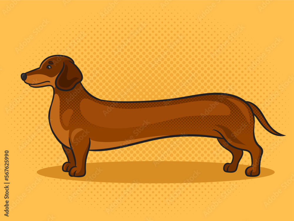 very long dachshund dog pinup pop art retro vector illustration. Comic book style imitation.