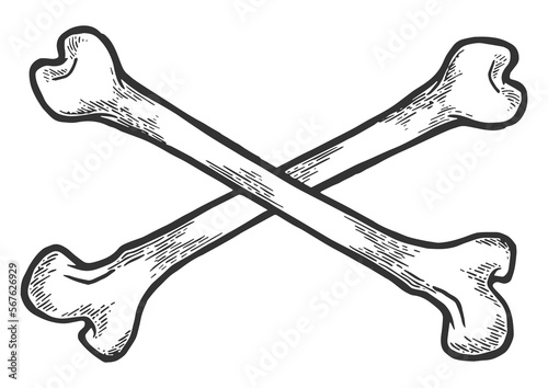 Crossed bones sketch engraving PNG illustration with transparent background