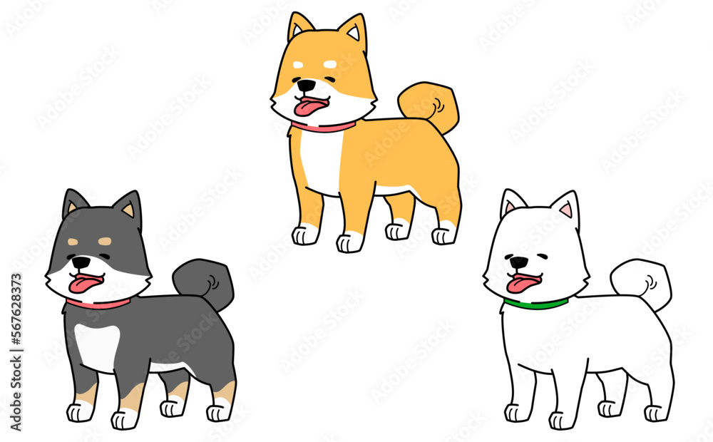 笑顔で立つ３匹の柴犬のイラスト