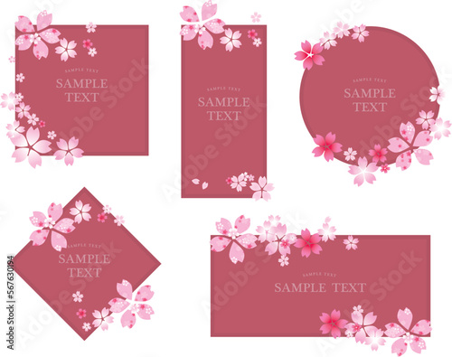 桜　春　花びら　背景
