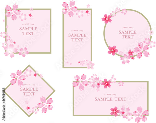 桜　春　花びら　背景
