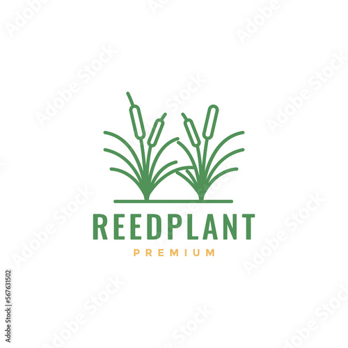 nature reed plant green field grass farm minimal logo design vector icon illustration