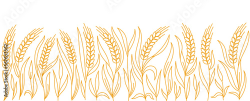 Ears of wheat rye or barley. Cereal agriculture field. Vector line. Editable outline stroke.