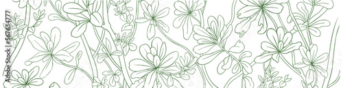 Tropical background. Scaevola taccada flowering plant. Sketch hand drawn vector illustration.