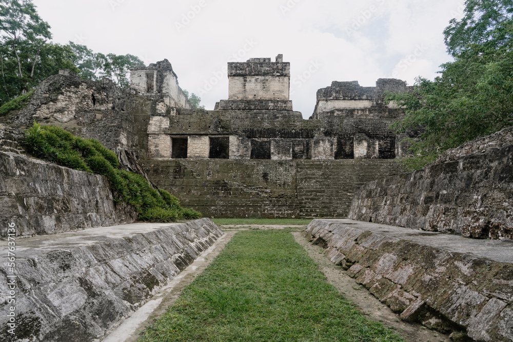 ruins of the ancient mayan city of tikal