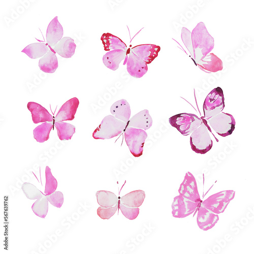 Butterflies, pink butterflies, insects, watercolor illustration	