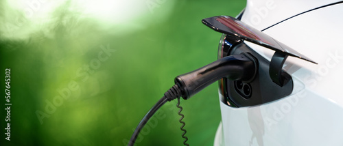 Close up of electric car inlet with a connected charging cable on a green background 