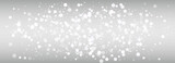 Winter Snowflake Vector Silver Panoramic