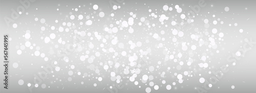 Winter Snowflake Vector Silver Panoramic