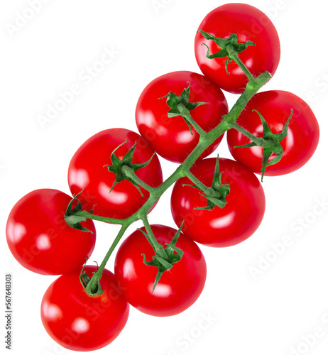 Tomato branch isolated on transparent background, png. Top view