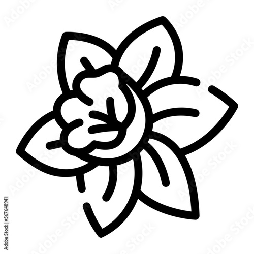 daffodil line icon