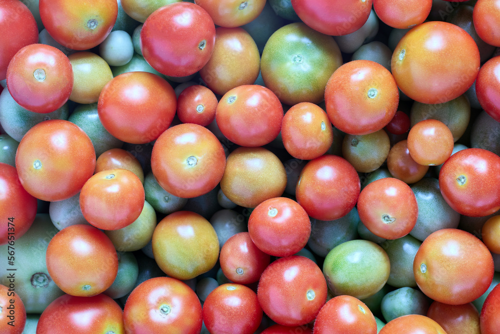 Texture of cherry tomatoes ripe and unripe in pile scattered in bowl. Texture of cherry tomatoes ripe and unripe in pile scattered in bowl.