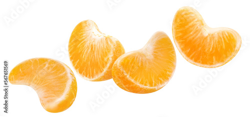 Canvastavla Flying tangerines cut out