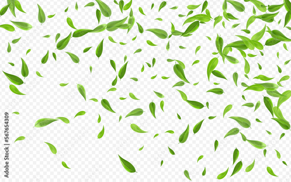 Forest Leaf Fly Vector Transparent Background Forest Leaf Fly Vector Transparent Background