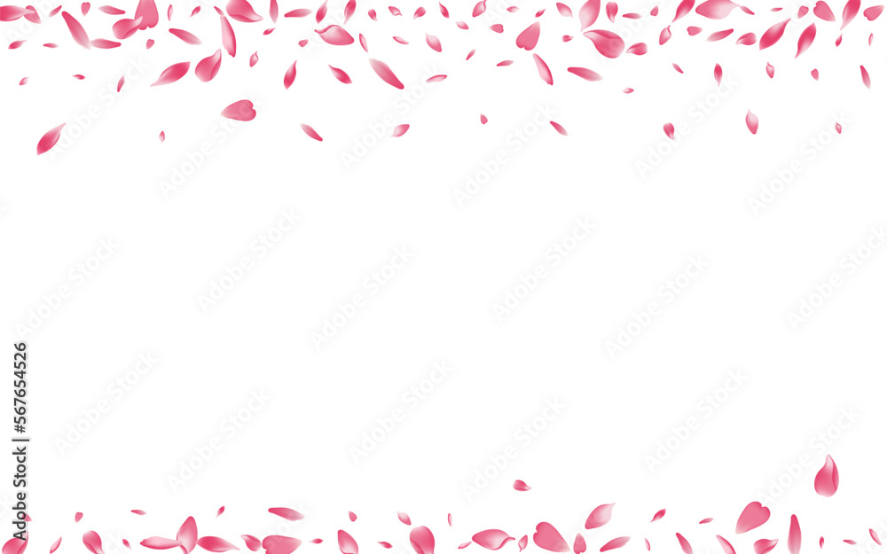 Transparent Rose Petal Vector White Background.