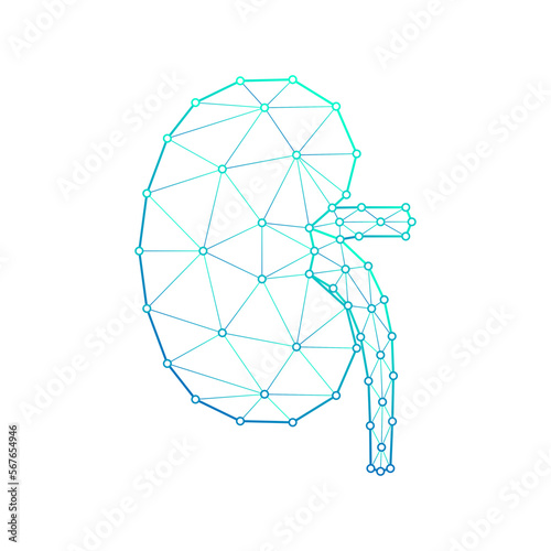 Human Kidney Urinary System Polygonal Low Poly Triangulated Mesh Connect Dots Medical Logo Icon, Line Art Isolated on White Background
