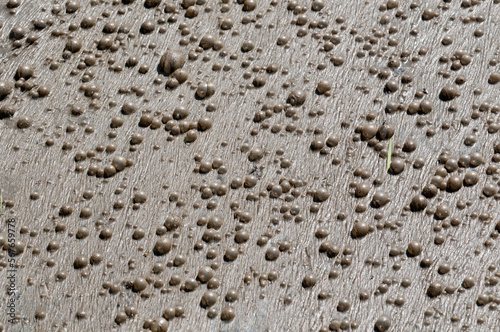 Acqua inquinata dai liquami con bolle opache in superficie. photo