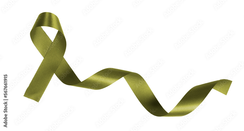 olive green ribbon on transparent background, PNG image. ภาพถ่ายสต็อก