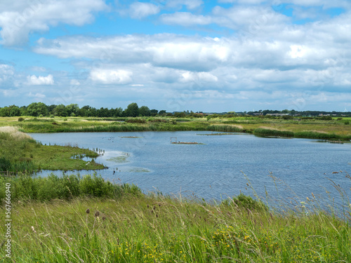 Valokuva View over wetlands at North Cave Wetlands, East Yorkshire, England