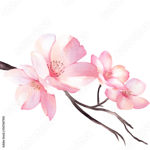 Cherry Blossom bouquet watercolor © Sarina Darin